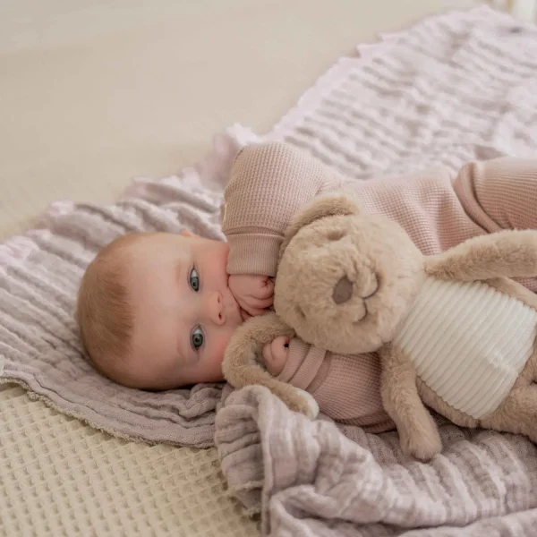 Lapin - Milo - Image 3