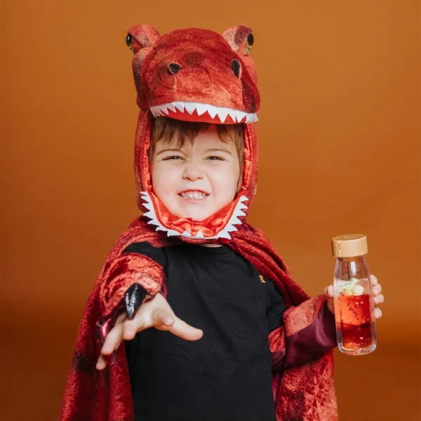 Bouteille sensorielle Dino - Image 4