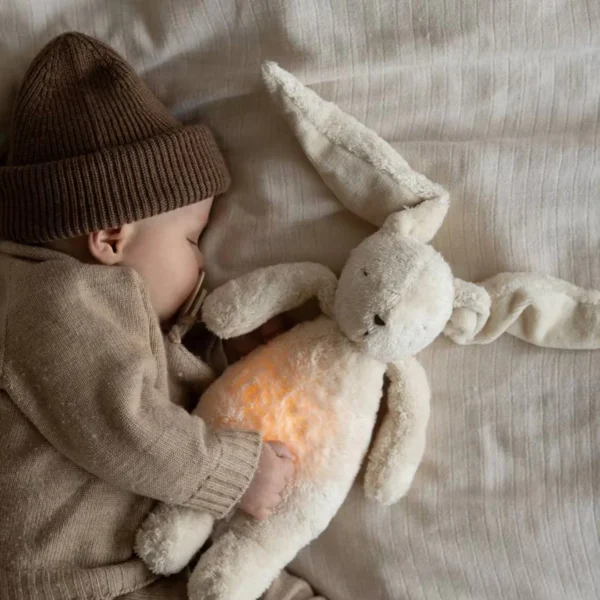 Lapin Moonie - Sable - Image 3